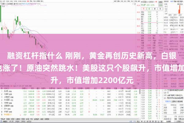 融资杠杆指什么 刚刚，黄金再创历史新高，白银、中概股也涨了！