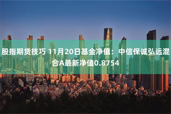 股指期货技巧 11月20日基金净值：中信保诚弘远混合A最新净