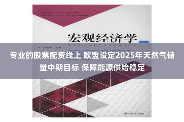 专业的股票配资线上 欧盟设定2025年天然气储量中期目标 保