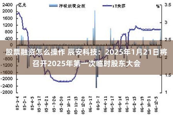 股票融资怎么操作 辰安科技：2025年1月21日将召开202