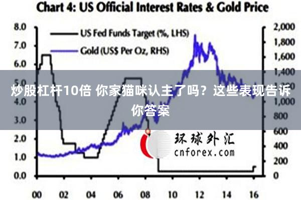 炒股杠杆10倍 你家猫咪认主了吗？这些表现告诉你答案