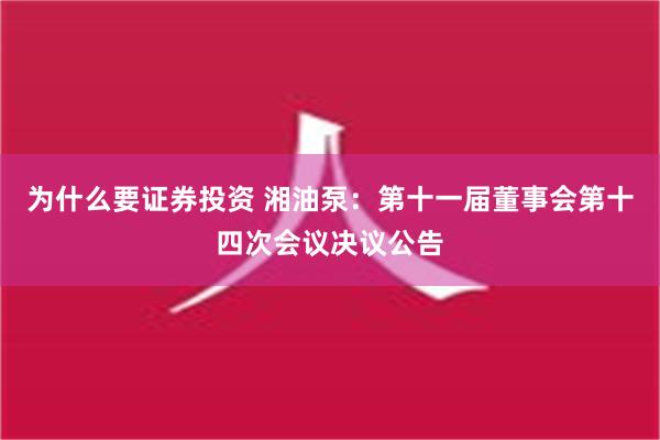 为什么要证券投资 湘油泵：第十一届董事会第十四次会议决议公告