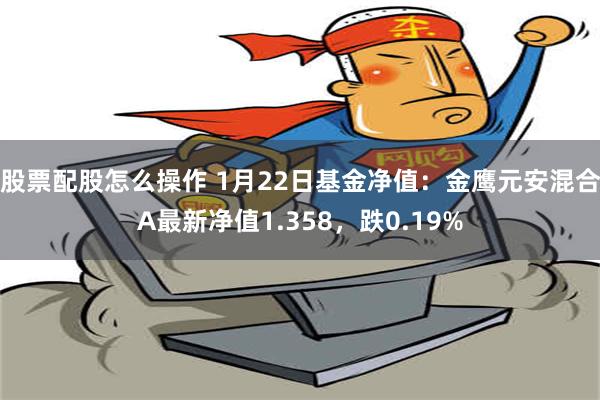 股票配股怎么操作 1月22日基金净值：金鹰元安混合A最新净值